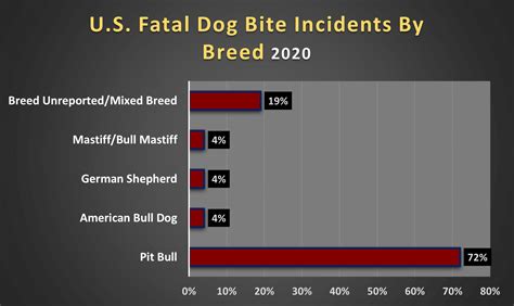 fatal pit bull attacks|dog bite fatalities 2022.